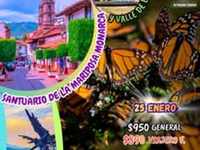 Santuario Mariposa Monarca