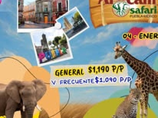 Africam Safari